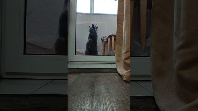 RuslanKhismatullin76