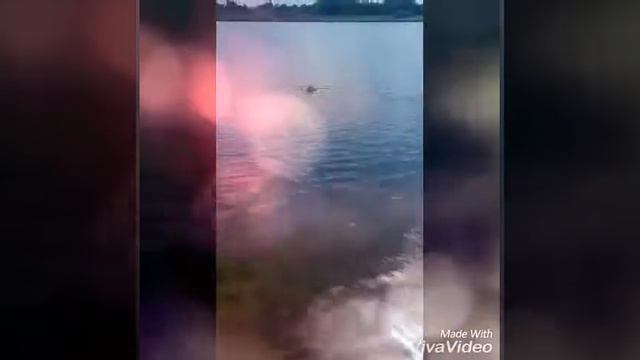 9bbee2894160d389203fc3a04dd687b1