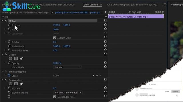 EXTRACT:Adjust-Video-Effects: ALL & EVERY Effect In Adobe Premiere Pro 2023 Explained-Ep#1-UrduHind