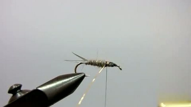 Fd9cc823ba1c6fb88bf24286d97b1ddb