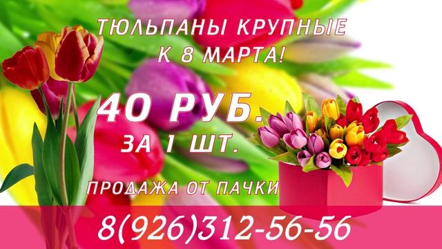 Тюльпаны/Tulips