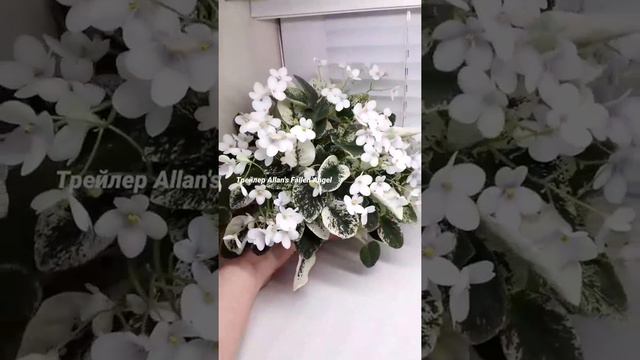 B6182133dd10795858068e914d65c3e9