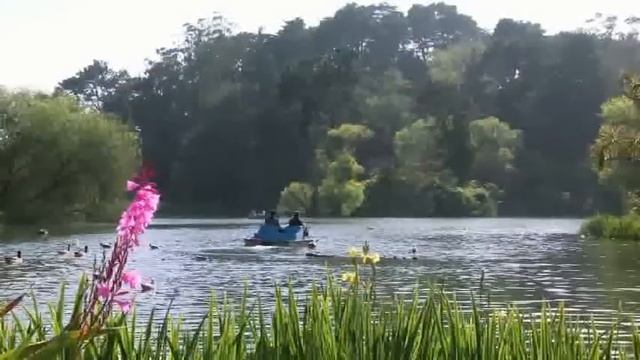 Саксофон и кларнет, инструментальная музыка - Ов, сирун, сирун