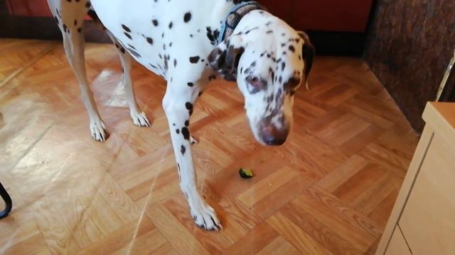 26100caea8bfb6649ea5382fe67c0573