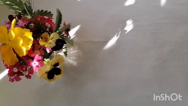 Совместный проект 