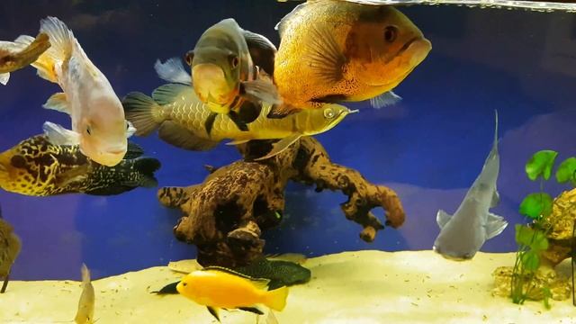 15 марта 2020 г.