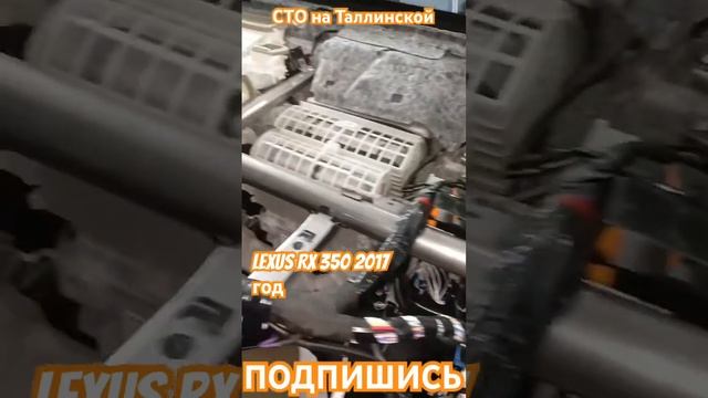 Демонтаж сигнализации Lexus RX 350 #автосервис #сто #фит #тюмень #ремонт #фитсервис #приколы #car