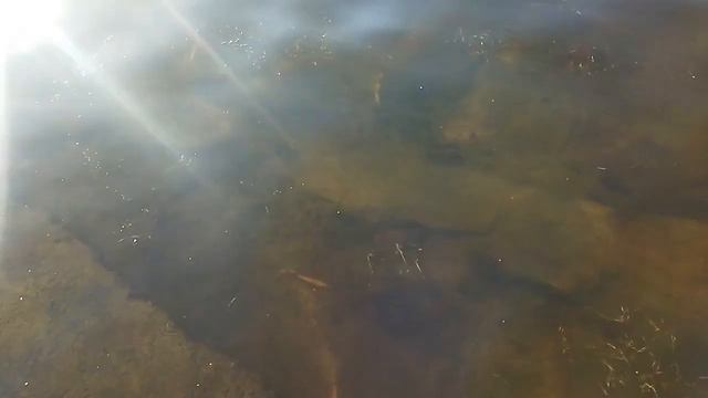 1c95543b34f74b3ad2c24217999db15a