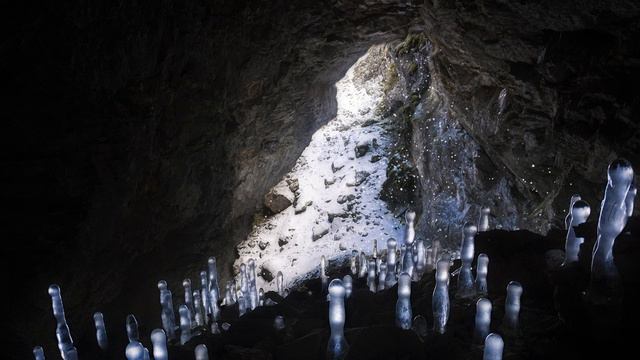 Winter Blizzard ASMR Sounds 🎧 Water Drops, Blowing Wind & Cracking Branches