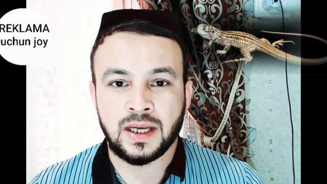 Великолепные биографии: истории знаменитов людей