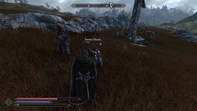 Elden Ring Combat Mods For Skyrim Are WILD!