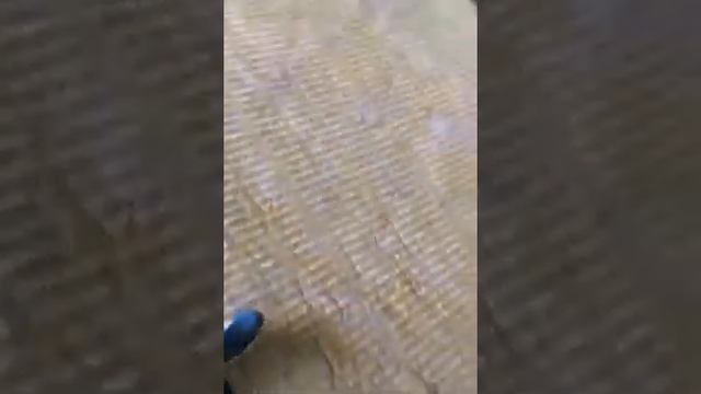 Bb83b564f0b24ac07bb06f2acf1d619b