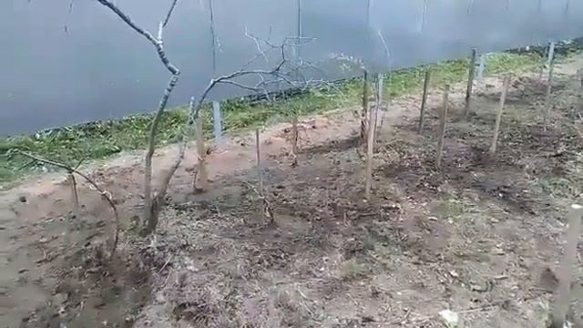 E204785697705b72c21af5f62ee8503e