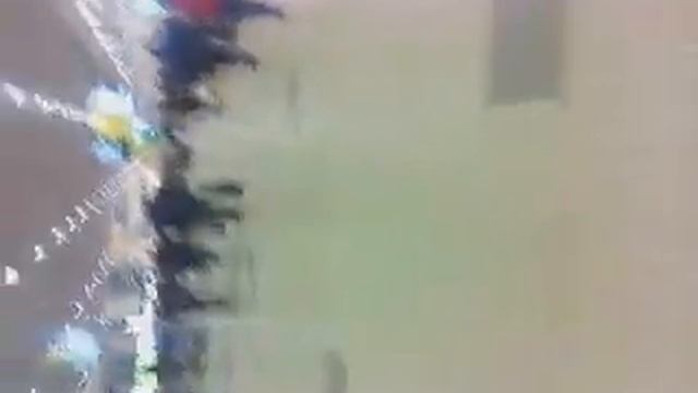 Видеодвойка