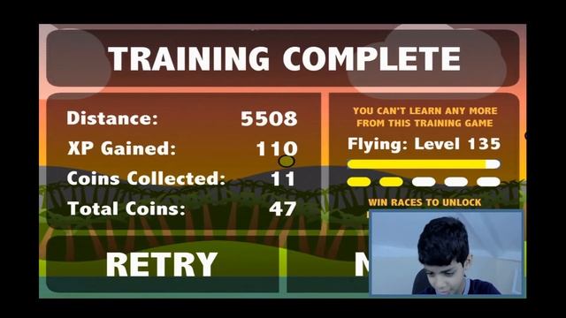 Duck Life Retro Pack : SUPER FLY