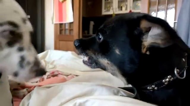 7e8eae1411b3a12609ba8694b624bdcf