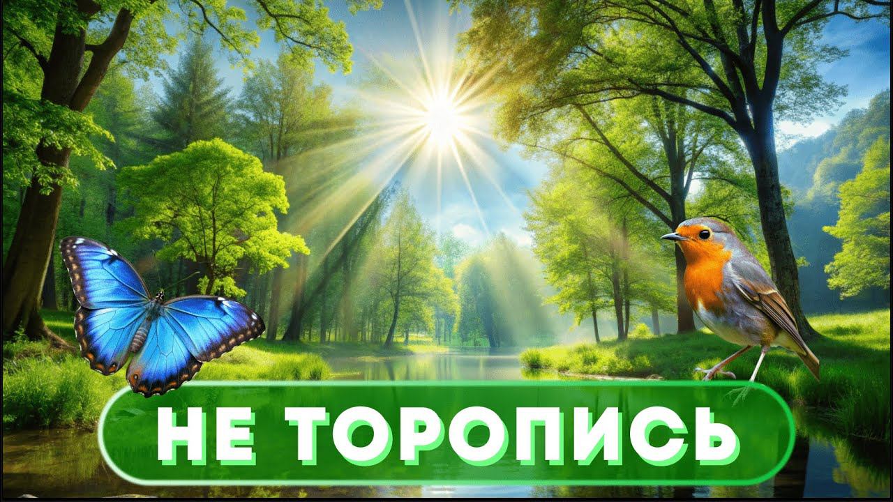 Не торопись... и Просветлишься...