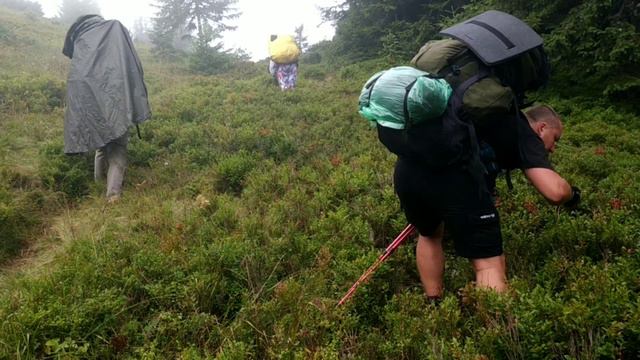 Зіниця горіха — гірська | Тревел-кліп з походу в Карпати