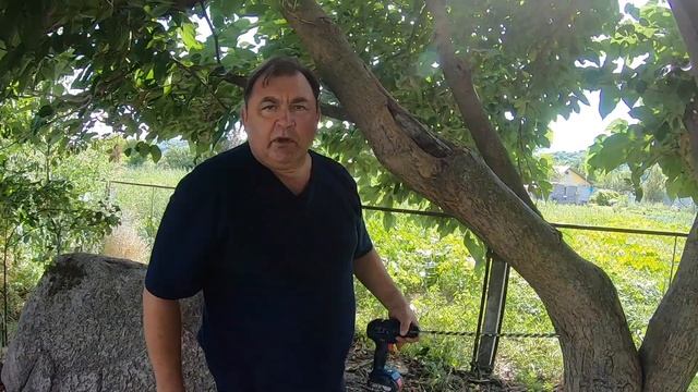 Спасаем дерево от разлома ветвей