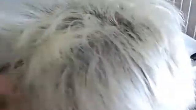 Окрашивание и стрижка