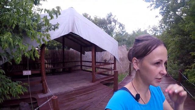 0fdd1eb6f9a134197c7279b11ceaf6e5