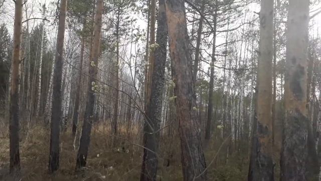 7861454af90e29d254ad116fec92b7dc