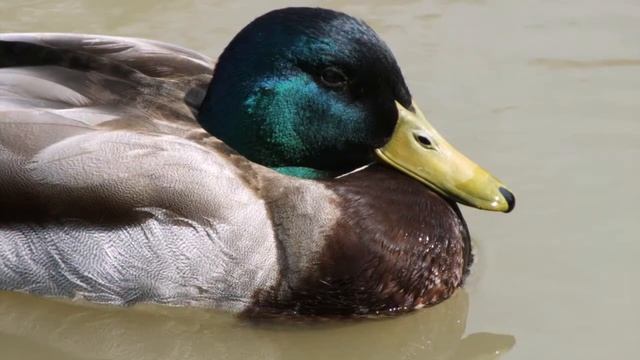 Fujifilm FinePix HS30EXR