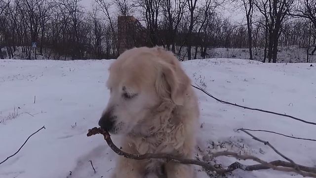 89e12e42eb5a8d8a766d348baa15ee6a