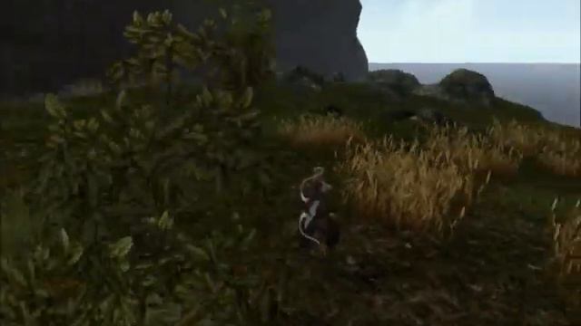 Let's Play Gothic 3  Video 30 - Clearing The Lower Ardean Plateau And Heading To The Beach