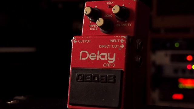Boss DM-3 Analog Delay (for Our 10 Year Anniversary!)