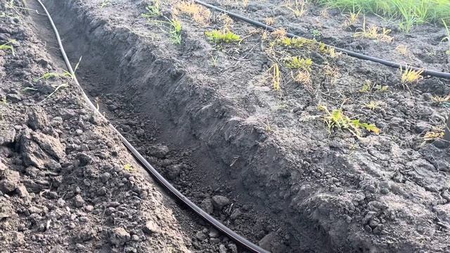 Поземный капельный полив сада