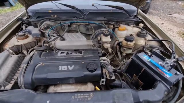 Создай Сам Себя