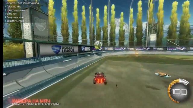 BIG BRAIN / Kikibodia