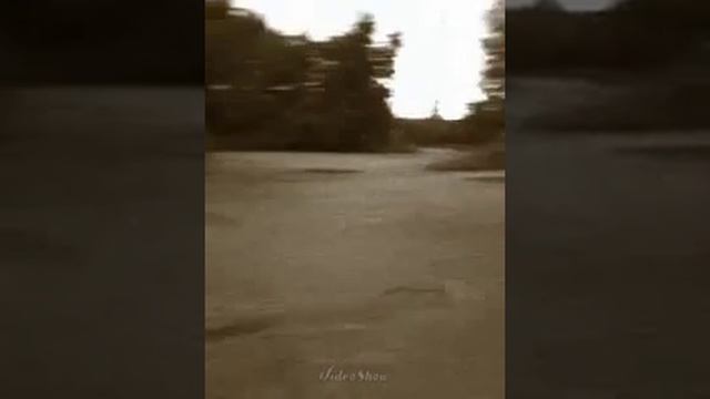 B631557a05b70746f773f78ad6321597