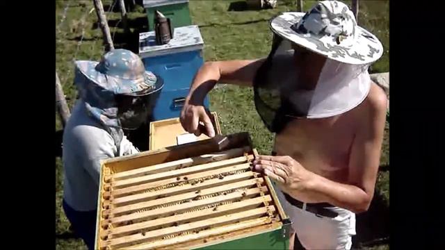 722b54485c743af23df2354f95655887