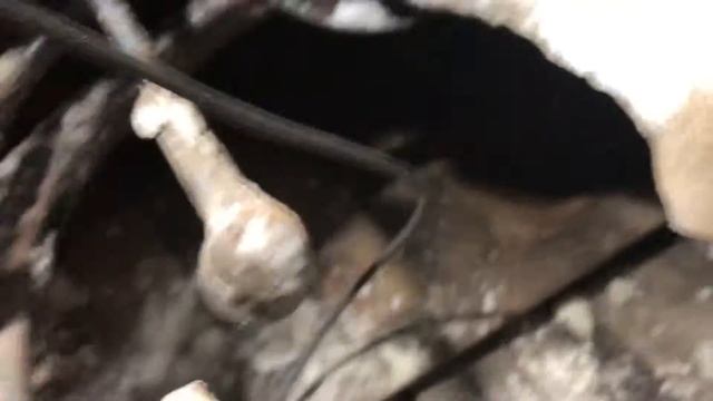 АвтоТрекеры