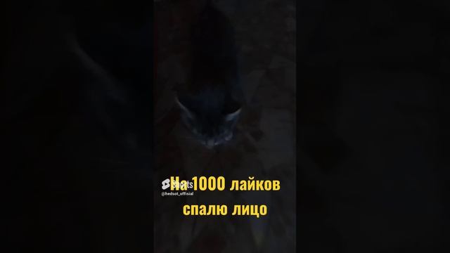 ПОДПИШИТЕСЬ ПОЖАЛУЙСТА!!!