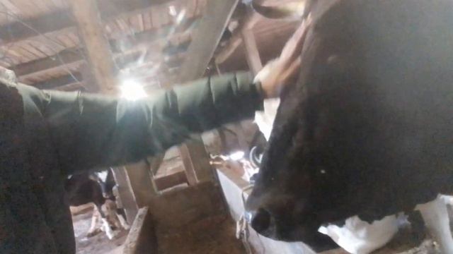 А на даче жизнь иначе