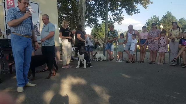 C0918f16740825c04ccd8f5808710ced