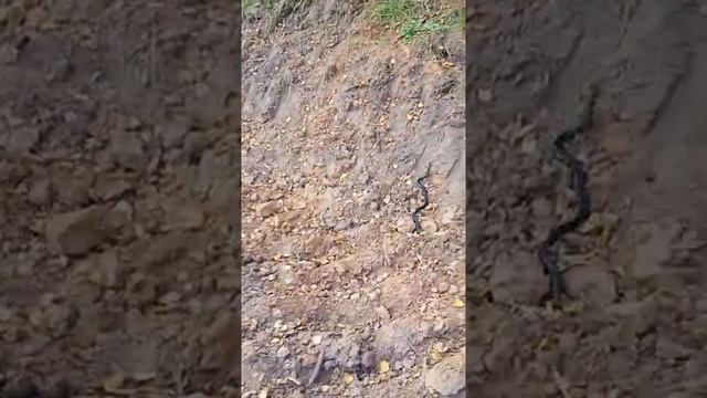 7dbd6da27709698f98a2bba4003548d9