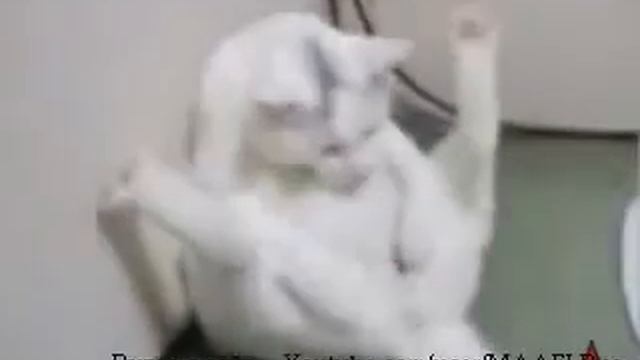 Мебельный гид