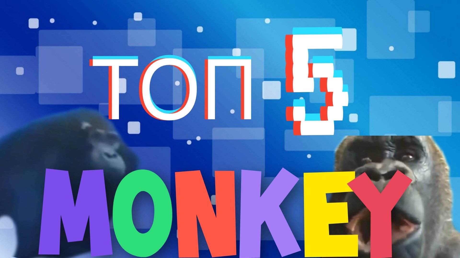 ТОП 5 MONKEY 🐒