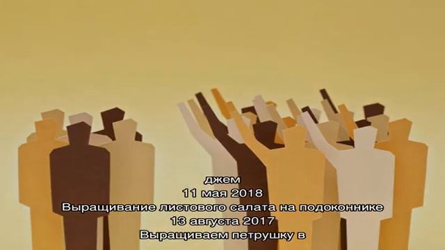 Апельсин на подоконнике  это возможно
