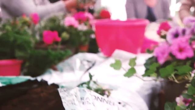 Grow&Go Pot Workshop   Ladiesnight Florensis