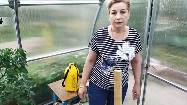 Циркон.Спасаем наши томаты, огурцы от жары.