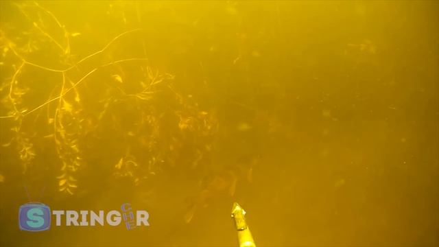 Подводная охота на щуку озеро Чебаркуль