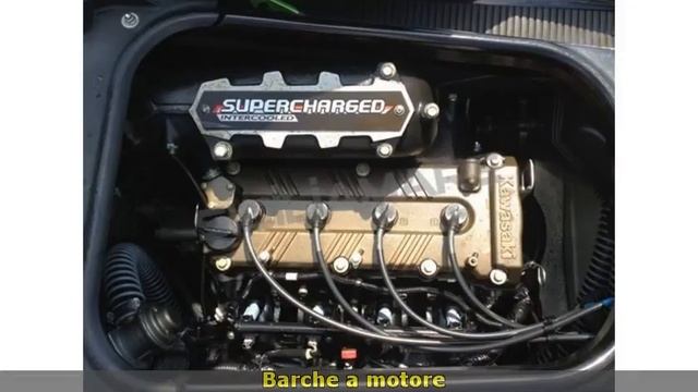Kawasaki 300 Ultra