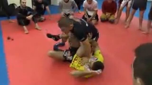 Семинар Хабиба Нурмагомедова.