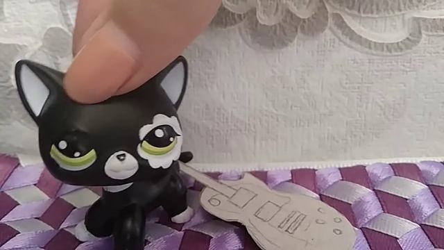 DIY гитара для LPS