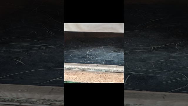 Крольчата с первых дней жизни